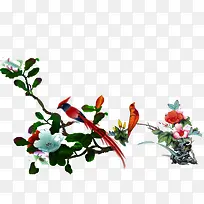 花卉-空若网 花卉-空若网