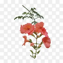 ʸ����ɫˮ�ʻ���-������