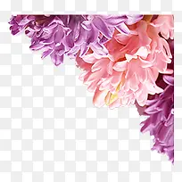 ˮ�ʻ���-������