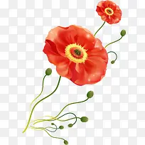 ������ͨ�ֻ滨��-������