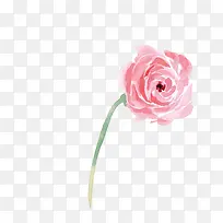 ˮ�ʻ���-������