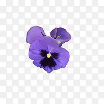 �ʻ�ͼƬ���亣������-������