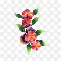 矢量花朵-空若网 矢量花朵-空若网