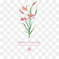 水彩花卉 花朵-空若网 水彩花卉 花朵-空若网