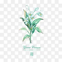 ˮ�ʻ��� ����-������