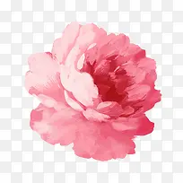 ˮ�ʻ���-������