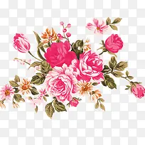 手绘花卉-空若网 手绘花卉-空若网