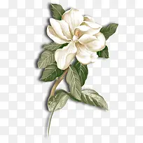 �ֻ滨��-������