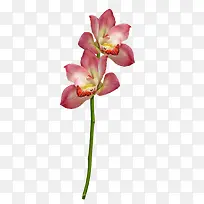 �ʻ�ʸ���ز��ֻ��ʻ�-������