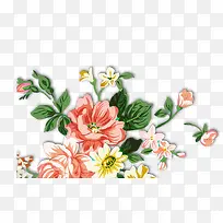 手绘花朵-空若网 手绘花朵-空若网