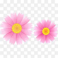 �ֻ�ʸ������-������