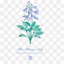 水彩花卉 花朵-空若网 水彩花卉 花朵-空若网