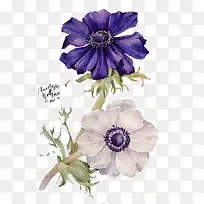 手绘花卉图案-空若网 手绘花卉图案-空若网