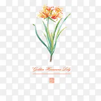 Ë®²Ê»¨»Ü »¨¶ä-¿ÕÈôÍø Ë®²Ê»¨»Ü »¨¶ä-¿ÕÈôÍø