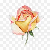 手绘水彩风花朵-空若网 手绘水彩风花朵-空若网