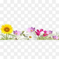 卡通手绘彩色鲜花图-空若网 卡通手绘彩色鲜花图-空若网