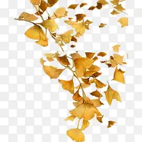 ½ÚÈÕËØ²Ä»¨°ê PNGÃâ¿ÙÍ¼ËØ²Ä-¿ÕÈôÍø ½ÚÈÕËØ²Ä»¨°ê PNGÃâ¿ÙÍ¼ËØ²Ä-¿ÕÈôÍø