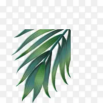 ÂÌÒ¶ËØ²Ä£¬ÌÔ±¦Ëزģ¬ÂÌÉ«-¿ÕÈôÍø ÂÌÒ¶ËØ²Ä£¬ÌÔ±¦Ëزģ¬ÂÌÉ«-¿ÕÈôÍø