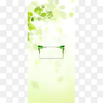清新背景,淘宝素材,绿色背景-空若网 清新背景,淘宝素材,绿色背景-空若网