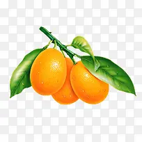 水果-空若网 水果-空若网