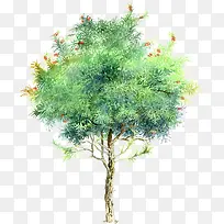 手绘绿树春季主图-空若网 手绘绿树春季主图-空若网