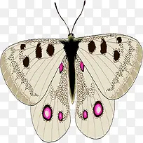 ��ɫ����������ͼ-������