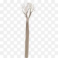 树枝主题冬季恋人图片-空若网 树枝主题冬季恋人图片-空若网