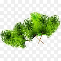 ��Ҷ�������ͼƬ-������