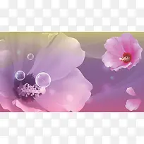 花朵插画-空若网 花朵插画-空若网