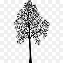 手绘树枝主页装修-空若网 手绘树枝主页装修-空若网