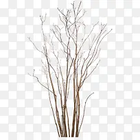 Ê÷Ö¦¸É¿ÝÖ÷Ò³×°ÐÞ-¿ÕÈôÍø Ê÷Ö¦¸É¿ÝÖ÷Ò³×°ÐÞ-¿ÕÈôÍø