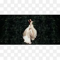 白色婚纱首页装修-空若网 白色婚纱首页装修-空若网