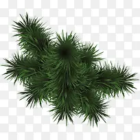 ˫�ڴ���ֲ����ҳ-������