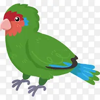 卡通鹦鹉PNG下载-空若网 卡通鹦鹉PNG下载-空若网
