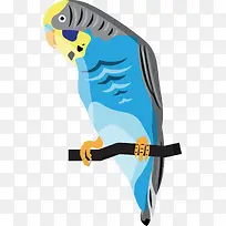 卡通鹦鹉PNG下载-空若网 卡通鹦鹉PNG下载-空若网