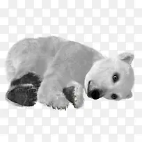 ��ɫ�ı�����-������