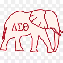 �¶��������갢�����������������Ǵ���é˹ѧԺ������nu-ɳ��-������