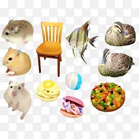 仓鼠鱼食物和椅子-空若网 仓鼠鱼食物和椅子-空若网