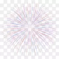 �϶����������߶Գ�-�̻�-������