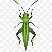 ����-������