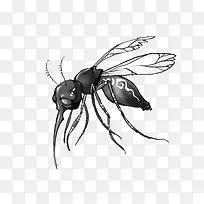 蚊子-空若网 蚊子-空若网