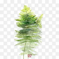 水彩叶子-空若网 水彩叶子-空若网