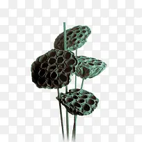 ˮ�ʻ�ź-������