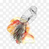 ¶¯Îï-¿ÕÈôÍø ¶¯Îï-¿ÕÈôÍø