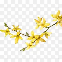 »¨-¿ÕÈôÍø »¨-¿ÕÈôÍø