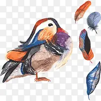 水彩小鸟-空若网 水彩小鸟-空若网