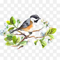 ˮ��С��-������