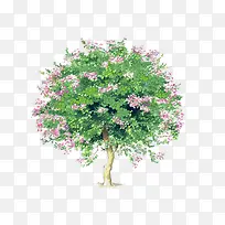 �ȴ���-������