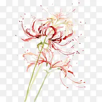 水彩墨花-空若网 水彩墨花-空若网
