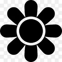 戴茜图标-空若网 戴茜图标-空若网